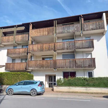 L Antlia, A Deux Pas Du Lac Avec Jardin * Gérardmer
